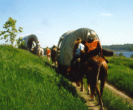 Wagon Tours