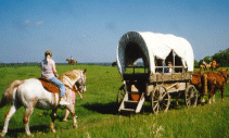 Wagon Tours2