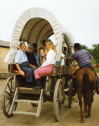 Wagon Tours 3