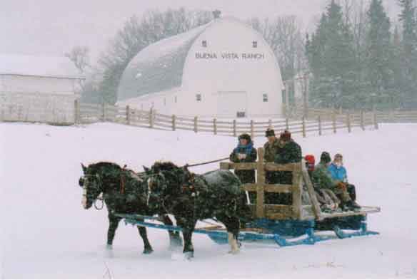 Horse Drawn Sleigh Ride